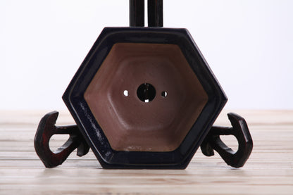 Willow Bonsai Ceramics Hexagonal Windowed Bonsai Pot 5 Inch – Semi‑Cascade Planter, High‑Fired Frost‑Proof Stoneware with Drainage & Wiring Holes, Handmade in USA (Ruri)