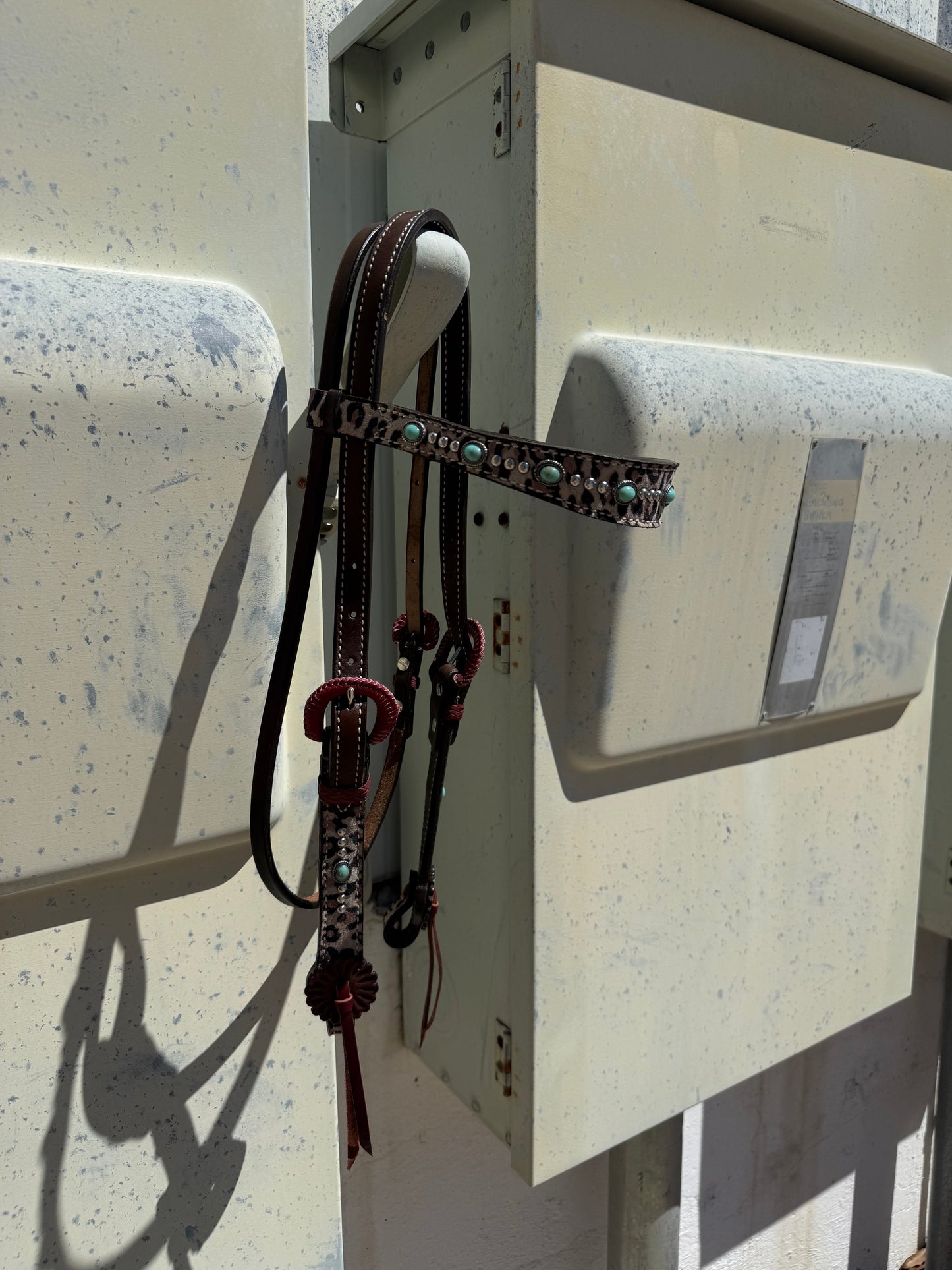 2800- Cheetah 1-1/2" Contour browband headstall