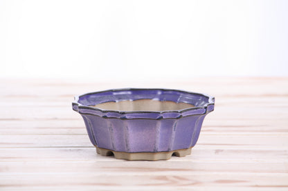 Willow Bonsai Ceramics Flower Design Bonsai Pot 5 Inch – Elegant Ceramic Bonsai & Succulent Planter, High‑Fired Frost‑Proof Stoneware with Drainage & Wiring Holes, Handmade in USA (Purple)