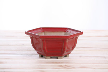 Willow Bonsai Ceramics Hexagonal Windowed Bonsai Pot 5 Inch – Semi‑Cascade Planter, High‑Fired Frost‑Proof Stoneware with Drainage & Wiring Holes, Handmade in USA (Red)