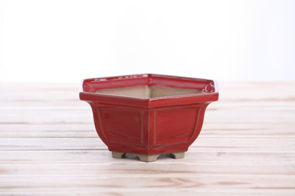 Willow Bonsai Ceramics Hexagonal Windowed Bonsai Pot 5 Inch – Semi‑Cascade Planter, High‑Fired Frost‑Proof Stoneware with Drainage & Wiring Holes, Handmade in USA (Red)