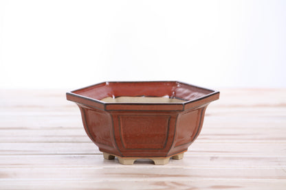 Willow Bonsai Ceramics Hexagonal Windowed Bonsai Pot 5 Inch – Semi‑Cascade Planter, High‑Fired Frost‑Proof Stoneware with Drainage & Wiring Holes, Handmade in USA (Sunset)