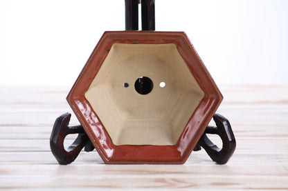Willow Bonsai Ceramics Hexagonal Windowed Bonsai Pot 5 Inch – Semi‑Cascade Planter, High‑Fired Frost‑Proof Stoneware with Drainage & Wiring Holes, Handmade in USA (Sunset)
