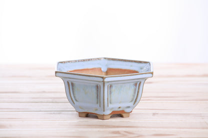 Willow Bonsai Ceramics Hexagonal Windowed Bonsai Pot 5 Inch – Semi‑Cascade Planter, High‑Fired Frost‑Proof Stoneware with Drainage & Wiring Holes, Handmade in USA (Glacier)