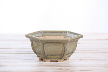 Willow Bonsai Ceramics Hexagonal Windowed Bonsai Pot 5 Inch – Semi‑Cascade Planter, High‑Fired Frost‑Proof Stoneware with Drainage & Wiring Holes, Handmade in USA (Copenhagen)