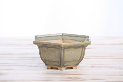 Willow Bonsai Ceramics Hexagonal Windowed Bonsai Pot 5 Inch – Semi‑Cascade Planter, High‑Fired Frost‑Proof Stoneware with Drainage & Wiring Holes, Handmade in USA (Copenhagen)