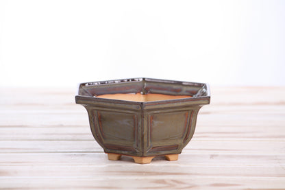 Willow Bonsai Ceramics Hexagonal Windowed Bonsai Pot 5 Inch – Semi‑Cascade Planter, High‑Fired Frost‑Proof Stoneware with Drainage & Wiring Holes, Handmade in USA (Dark Honey)