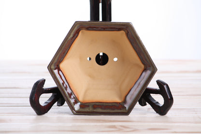 Willow Bonsai Ceramics Hexagonal Windowed Bonsai Pot 5 Inch – Semi‑Cascade Planter, High‑Fired Frost‑Proof Stoneware with Drainage & Wiring Holes, Handmade in USA (Dark Honey)