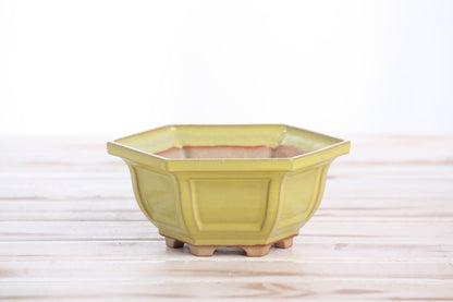 Willow Bonsai Ceramics Hexagonal Windowed Bonsai Pot 5 Inch – Semi‑Cascade Planter, High‑Fired Frost‑Proof Stoneware with Drainage & Wiring Holes, Handmade in USA (Yellow)