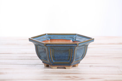Willow Bonsai Ceramics Hexagonal Windowed Bonsai Pot 5 Inch – Semi‑Cascade Planter, High‑Fired Frost‑Proof Stoneware with Drainage & Wiring Holes, Handmade in USA (Peacock 2025)