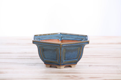 Willow Bonsai Ceramics Hexagonal Windowed Bonsai Pot 5 Inch – Semi‑Cascade Planter, High‑Fired Frost‑Proof Stoneware with Drainage & Wiring Holes, Handmade in USA (Peacock 2025)
