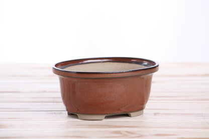 Willow Bonsai Ceramics Fat Bonsai Pot 5.5 Inch – Bold Oval Ceramic Bonsai & Succulent Planter with Accentuated Rim, High‑Fired Frost‑Proof Stoneware, Handmade in USA (Sunset)