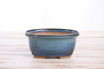 Willow Bonsai Ceramics Fat Bonsai Pot 5.5 Inch – Bold Oval Ceramic Bonsai & Succulent Planter with Accentuated Rim, High‑Fired Frost‑Proof Stoneware, Handmade in USA (Peacock 2025)