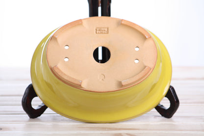Willow Bonsai Ceramics Fat Bonsai Pot 7.5 Inch – Bold Oval Ceramic Bonsai & Succulent Planter with Accentuated Rim, High‑Fired Frost‑Proof Stoneware, Handmade in USA (Yellow)