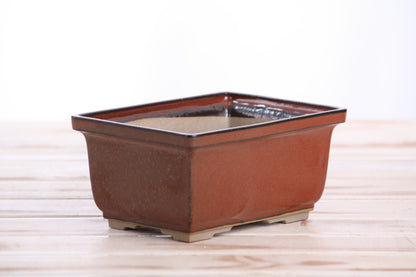 Willow Bonsai Ceramics Rectangle Deep Bonsai Pot 6 Inch – Higher‑Profile Rectangular Ceramic Bonsai & Succulent Planter with Accentuated Rim, High‑Fired Frost‑Proof Stoneware, Handmade in USA (Sunset)