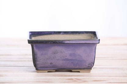 Willow Bonsai Ceramics Rectangle Deep Bonsai Pot 6 Inch – Higher‑Profile Rectangular Ceramic Bonsai & Succulent Planter with Accentuated Rim, High‑Fired Frost‑Proof Stoneware, Handmade in USA (Purple)