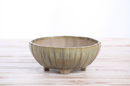 Willow Bonsai Ceramics Lily Bonsai Pot 6 Inch – Sculpted Rounded Ceramic Bonsai & Succulent Planter with Wavy Profile, High‑Fired Frost‑Proof Stoneware, Handmade in USA (Copenhagen)