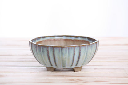 Willow Bonsai Ceramics Lily Bonsai Pot 6 Inch – Sculpted Rounded Ceramic Bonsai & Succulent Planter with Wavy Profile, High‑Fired Frost‑Proof Stoneware, Handmade in USA (Glacier)