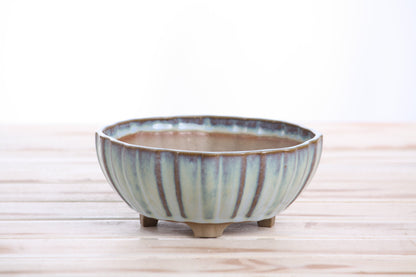 Willow Bonsai Ceramics Lily Bonsai Pot 6 Inch – Sculpted Rounded Ceramic Bonsai & Succulent Planter with Wavy Profile, High‑Fired Frost‑Proof Stoneware, Handmade in USA (Glacier)