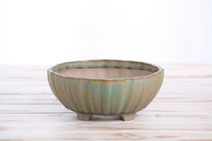 Willow Bonsai Ceramics Lily Bonsai Pot 6 Inch – Sculpted Rounded Ceramic Bonsai & Succulent Planter with Wavy Profile, High‑Fired Frost‑Proof Stoneware, Handmade in USA (Speckled Moss)