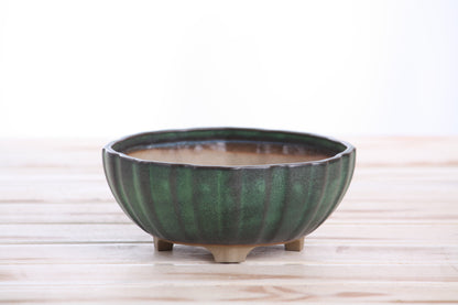 Willow Bonsai Ceramics Lily Bonsai Pot 6 Inch – Sculpted Rounded Ceramic Bonsai & Succulent Planter with Wavy Profile, High‑Fired Frost‑Proof Stoneware, Handmade in USA (Avocado)