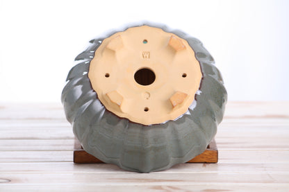 Willow Bonsai Ceramics Lily Bonsai Pot 7 Inch – Sculpted Rounded Ceramic Bonsai & Succulent Planter with Wavy Profile, High‑Fired Frost‑Proof Stoneware, Handmade in USA (Starry Night)