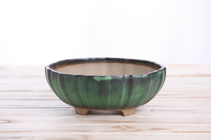 Willow Bonsai Ceramics Lily Bonsai Pot 7 Inch – Sculpted Rounded Ceramic Bonsai & Succulent Planter with Wavy Profile, High‑Fired Frost‑Proof Stoneware, Handmade in USA (Avocado)