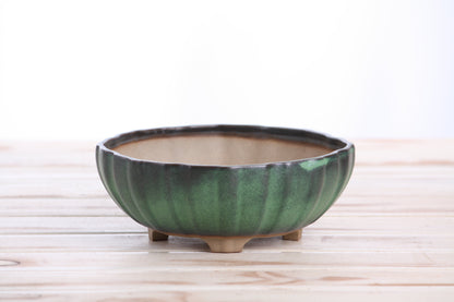 Willow Bonsai Ceramics Lily Bonsai Pot 7 Inch – Sculpted Rounded Ceramic Bonsai & Succulent Planter with Wavy Profile, High‑Fired Frost‑Proof Stoneware, Handmade in USA (Avocado)