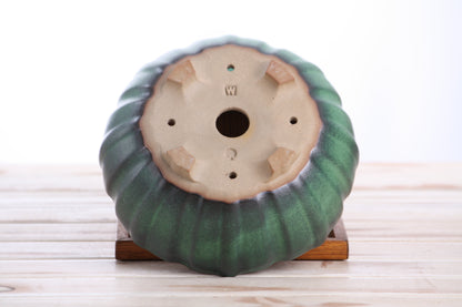 Willow Bonsai Ceramics Lily Bonsai Pot 7 Inch – Sculpted Rounded Ceramic Bonsai & Succulent Planter with Wavy Profile, High‑Fired Frost‑Proof Stoneware, Handmade in USA (Avocado)