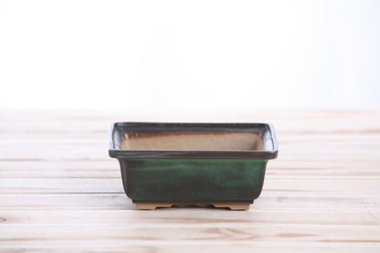 Willow Bonsai Ceramics Square Bonsai Pot 5 Inch – Low‑Profile Square Ceramic Bonsai & Succulent Planter with Accentuated Rim, High‑Fired Frost‑Proof Stoneware, Handmade in USA (Avocado)
