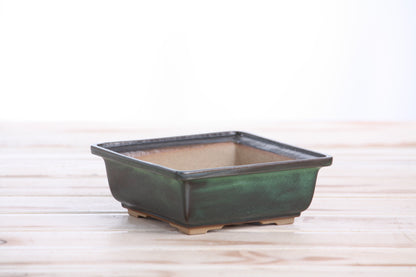 Willow Bonsai Ceramics Square Bonsai Pot 5 Inch – Low‑Profile Square Ceramic Bonsai & Succulent Planter with Accentuated Rim, High‑Fired Frost‑Proof Stoneware, Handmade in USA (Avocado)