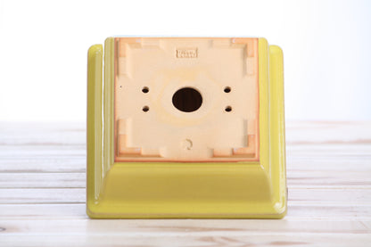 Willow Bonsai Ceramics Square Bonsai Pot 6 Inch – Low‑Profile Square Ceramic Bonsai & Succulent Planter with Accentuated Rim, High‑Fired Frost‑Proof Stoneware, Handmade in USA (Yellow)