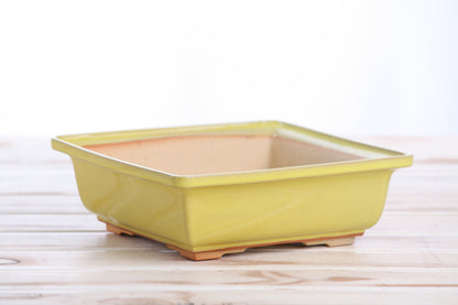 Willow Bonsai Ceramics Square Bonsai Pot 7 Inch – Low‑Profile Square Ceramic Bonsai & Succulent Planter with Accentuated Rim, High‑Fired Frost‑Proof Stoneware, Handmade in USA (Yellow)