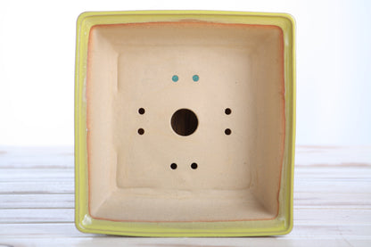Willow Bonsai Ceramics Square Bonsai Pot 7 Inch – Low‑Profile Square Ceramic Bonsai & Succulent Planter with Accentuated Rim, High‑Fired Frost‑Proof Stoneware, Handmade in USA (Yellow)