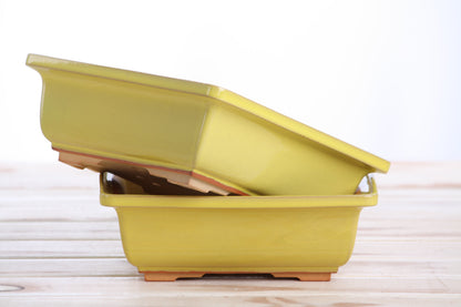 Willow Bonsai Ceramics Square Bonsai Pot 7 Inch – Low‑Profile Square Ceramic Bonsai & Succulent Planter with Accentuated Rim, High‑Fired Frost‑Proof Stoneware, Handmade in USA (Yellow)