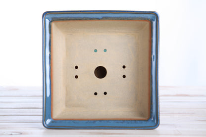 Willow Bonsai Ceramics Square Bonsai Pot 8 Inch – Low‑Profile Square Ceramic Bonsai & Succulent Planter with Accentuated Rim, High‑Fired Frost‑Proof Stoneware, Handmade in USA (Peacock 2025)