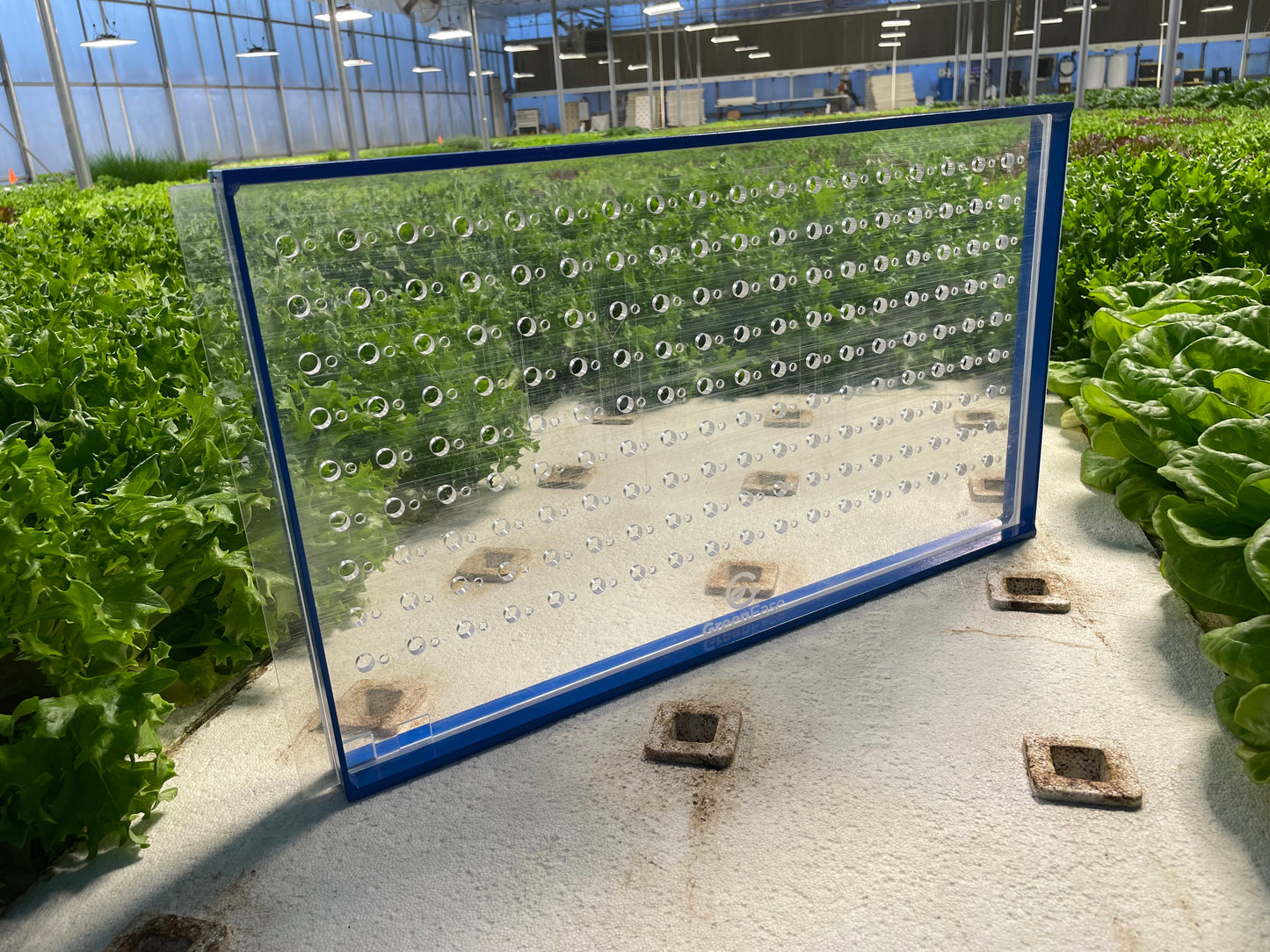 GreenEase Drop Seeder for Proptek Trays