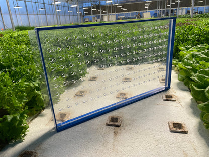GreenEase Drop Seeder for Bootstrap Farmer Trays