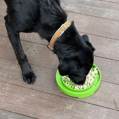 Garden Design eTray - Shallow Slow Feeder Dog Bowl for Enrichment | USA