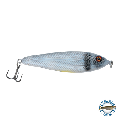 EBS Jigging Spoon