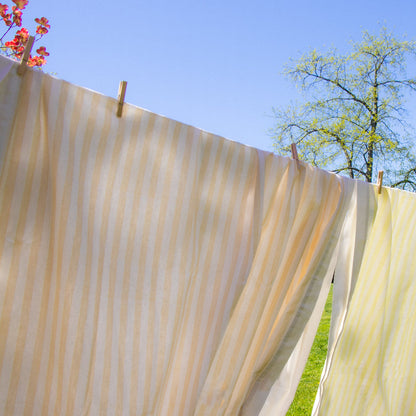 Lychee Sorbet Stripe Tablecloth