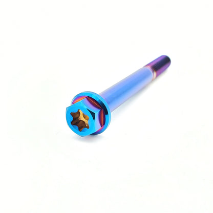 Titanium M6 Bolts (Collective)