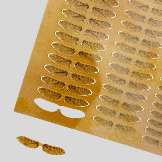 Mayfly Wings