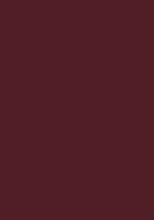 Inspire Knee Patch High Waist Mulberry Coolmax Breeches