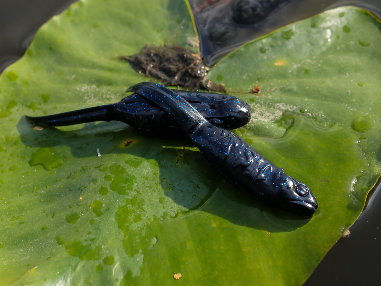 Froglet