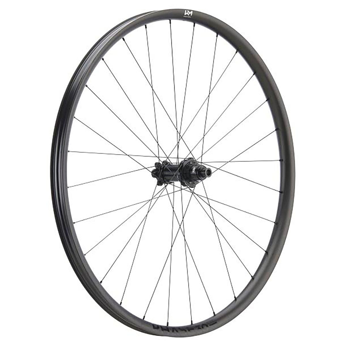 NEWMEN - Wheel (Rear) - Phase 30 Strong | Enduro - [D]