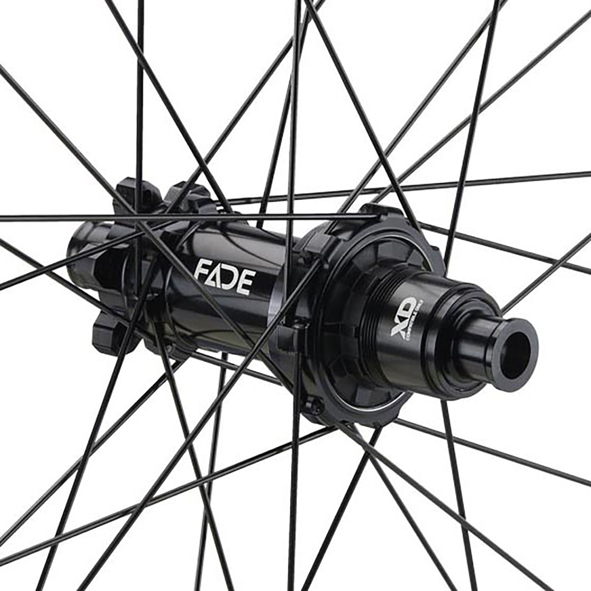 NEWMEN - Wheel (Rear) - Phase 30 Strong | Enduro - [D]