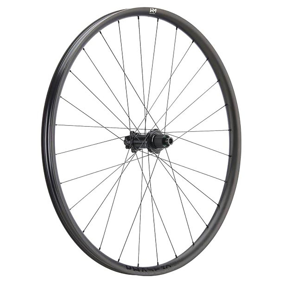 NEWMEN - Wheel (Rear) - Phase 30 Strong | Enduro - [D]