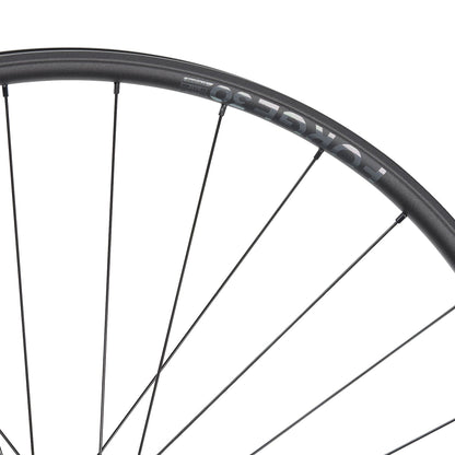 NEWMEN Rear Wheel - Forge 30 strong 29" 32h FADE SP 6B 12x148 XD - Enduro