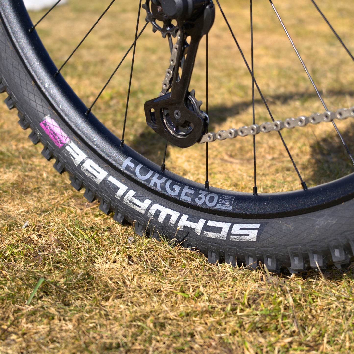 NEWMEN - Wheel (Front) - Forge 30 Light | Cross Country - [D]